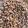 【熟食凉菜】水煮花生（400±20g) 商品缩略图1