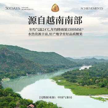 觅菓（miguo）越南A180紫衣大腰果腰仁低温烘焙淡盐味坚果炒货休闲零食500g/罐 商品图1