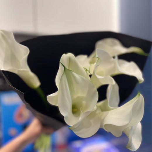 海芋~白色 商品图7