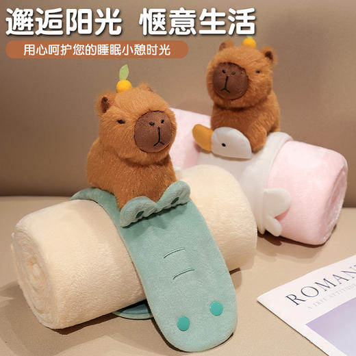 自然醒趣味水豚立体卷毯午休办公室午睡空调毯子儿童珊瑚绒毛毯汽车载QYL 商品图5