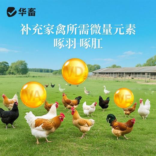 华畜禽用防啄卫士鸡鸭鹅鹦鹉鸽子打架止啄止咬防异食癖补微量元素 商品图4