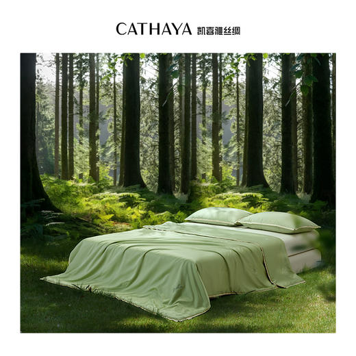 凯喜雅 科技茶纤维夏不语可机洗夏凉被 商品图1