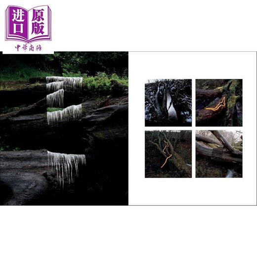 【中商原版】Andy Goldsworthy: Fifty Years 进口艺术 雕塑家安迪 戈兹沃西：五十年 商品图4