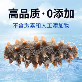 大黄鲜森 大连即食海参（15-20头）500g