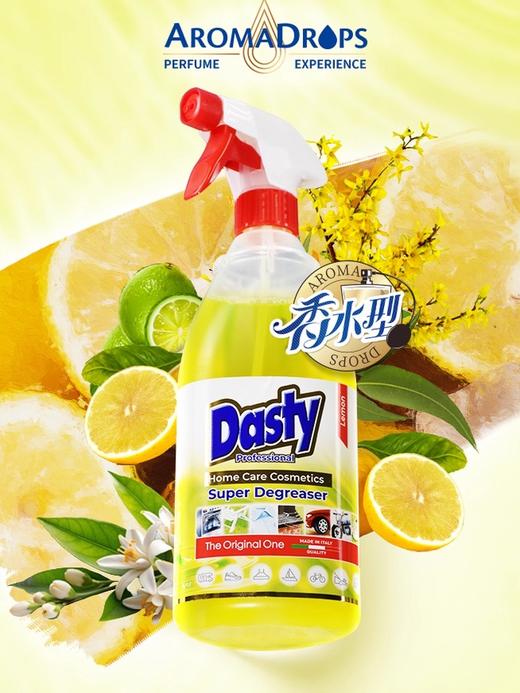 【中欧班列精选】意大利进口Dasty 多功能厨房油污净强力清洁剂1000ml 商品图1