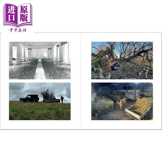 【中商原版】Andy Goldsworthy: Fifty Years 进口艺术 雕塑家安迪 戈兹沃西：五十年 商品图3