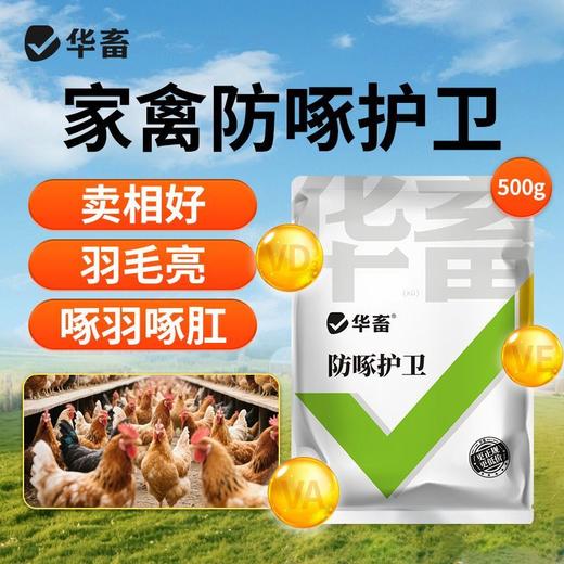 华畜禽用防啄卫士鸡鸭鹅鹦鹉鸽子打架止啄止咬防异食癖补微量元素 商品图1