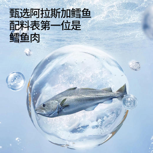 [屁侠推荐]奶酪博士 山姆同款 高钙奶酪流心鳕鱼肠 400g/400g*2（赠湿巾2提） 商品图4