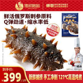 免泡发俄罗斯刺参500g一斤装 缩水率低 【冷冻储存】