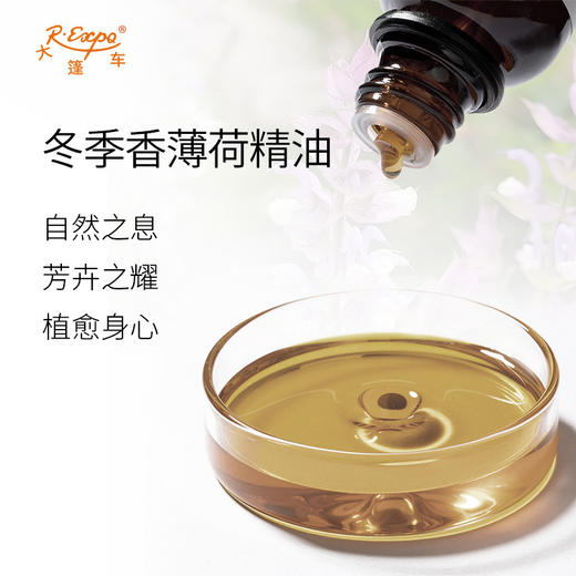 冬季香薄荷精油 奥地利单方精油原料批发芳疗护理调香大篷车精油 商品图1