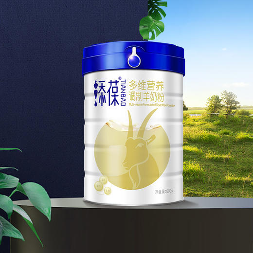 新国标添葆多维营养羊奶粉成人中老年高钙富硒奶粉800g 商品图3