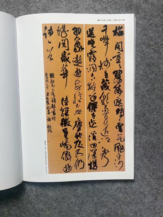 【国展参考-章草王铎倪元璐集】 商品图5