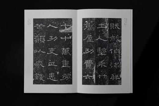 《新中国新发现书法大系》8本碑刻墓志 商品图3