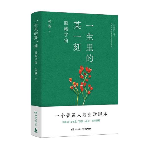 一生里的某一刻 隐藏宇宙 张春 著 散文 商品图0