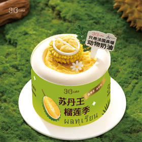 迷你多肉榴莲  | 36 CAKE