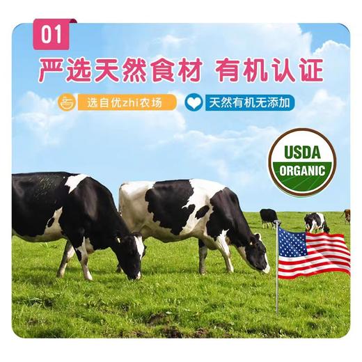 嘉宝西梅梨泥(蓝包装)JBA-59410 商品图1