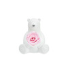 【新品爱礼】ROSEONLY诺誓 永生玫瑰 公仔系列 雪慕北极熊 粉色 送朋友 情人节礼物 商品缩略图1