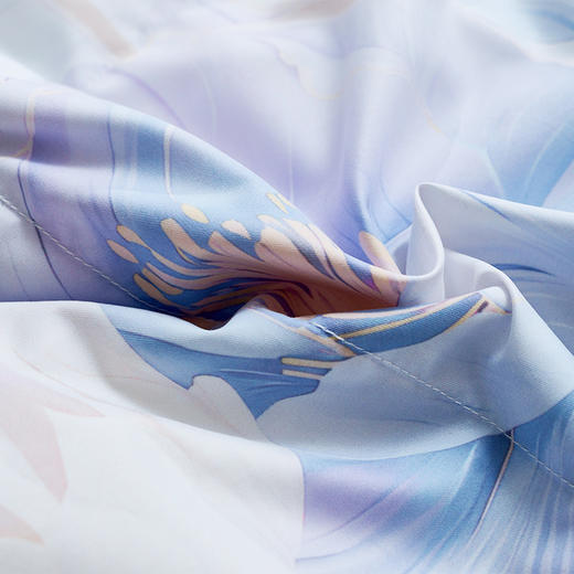 【6楼】富安娜A类法国进口水洗羽绒夏被\贝丽芙，牌牌价3980/4980，【会员节专享价】899/999元 商品图2