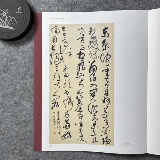 2021年中国书法年展·行书草书作品集 商品图4