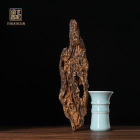 天然达拉干沉香原材 沉水级 145克 SP2877