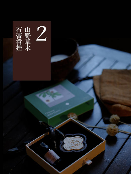 山野草木绘真（收藏版） &3182 一部跨越生态与文明的中国草木视觉志—— 从荒野秘境到人间烟火， 唤醒你忽视的中华草木DNA 商品图3