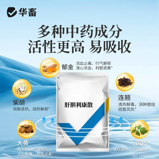 华畜肝胆利康散鱼药胆汁酸水产养殖鱼虾花白肝肝胆综合症清肝利胆 商品图2