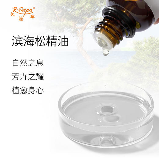滨海松精油 奥地利单方精油原料批发芳疗护理香氛调香 大篷车精油 商品图1