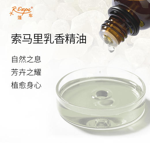 索马里乳香精油 索马里进口单方精油原料批发芳疗护理调香 商品图1