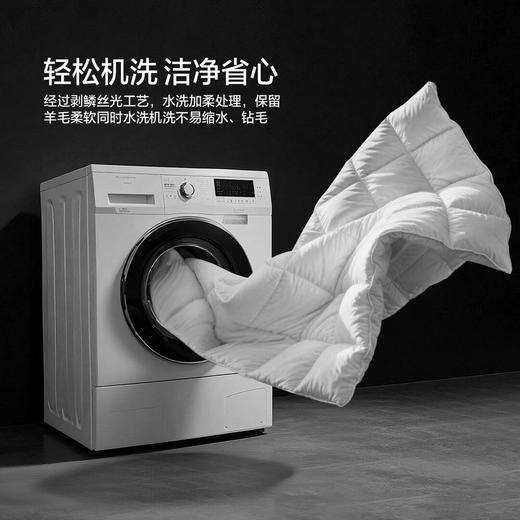 【新品上市】水星家纺A类可水洗羊毛阳光卷毛3.0四季被二合一被甄选 商品图3
