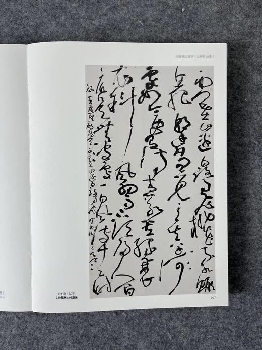 2023中国书法•年展 全国书法篆刻作品展作品集 商品图4