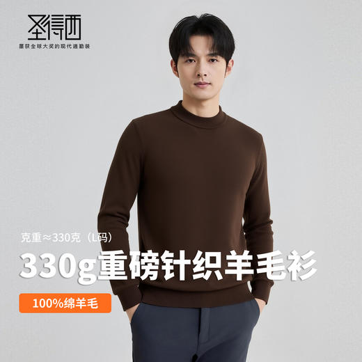 【100%绵羊毛】圣得西男士基础款型重磅羊毛衫2025秋季新款舒适百搭毛衣 商品图2