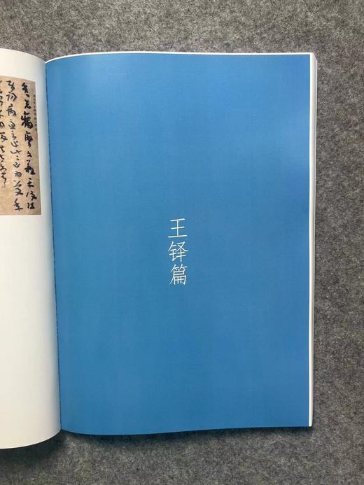【国展参考-章草王铎倪元璐集】 商品图4