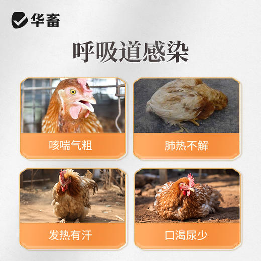 华畜麻杏石甘口服液500ml  止咳平喘清热宣肺 吸收率高饮水方便 商品图1