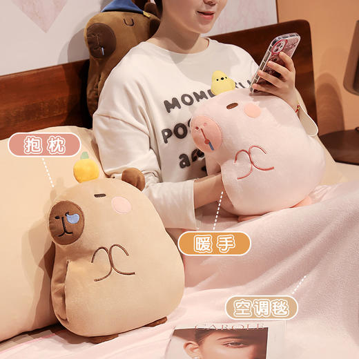 自然醒水晶绒佛系水豚三合一抱枕毯两用可插手午睡枕办公室午休趴枕QYL 商品图1