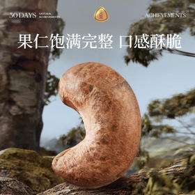 觅菓（miguo）越南A180紫衣大腰果腰仁低温烘焙淡盐味坚果炒货休闲零食500g/罐