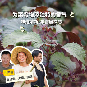 生态紫苏 | 绿家自产 *Eco- perilla | Self-production