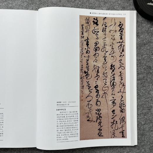 【全国十二届书法篆刻展-草书入展创作手记十二届国展-草书创作手记】 商品图3