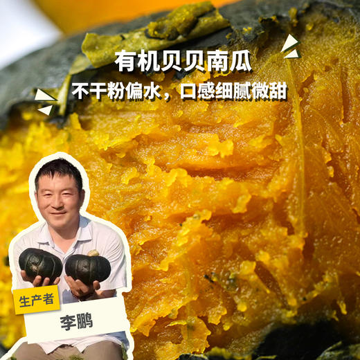 有机贝贝南瓜（中通快递） | 合作生产* Organic Pumpkin | Partner Production 商品图0
