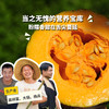 生态蜜本南瓜（切块） | 绿家自产*Eco-pumpkin | Self-production 商品缩略图0