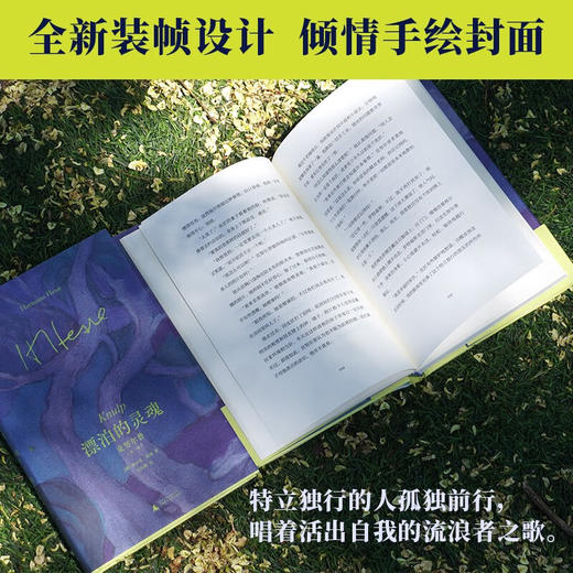 漂泊的灵魂 克努尔普 赫尔曼·黑塞 著 小说 商品图2