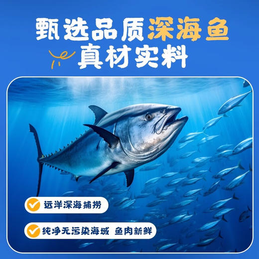 味一金枪鱼松/三文鱼松/海苔芝麻金枪鱼松(鲔鱼松)200g 天然深海鱼松口感细腻 057583/030002-1/057587 商品图3
