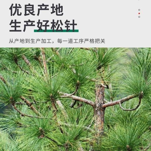 【买2送1❗️松针油软胶囊】开启健康之旅，以油化油，快速溶解，原生好品质！浓缩提取长白山溶泡沫实验凝胶糖果 商品图3