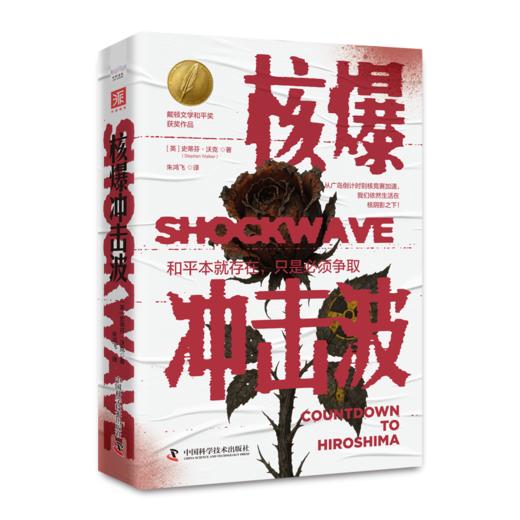 核爆冲击波（戴顿文学和平奖获奖作品）：全景式再现广岛核爆前的21天和核爆后的18小时 商品图6