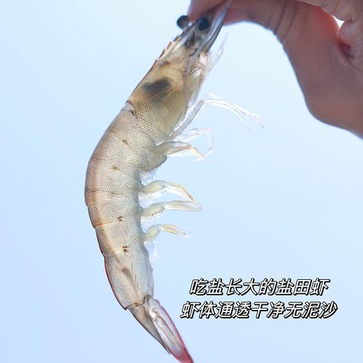 石家庄优选仓库速达 盐田虾国产极速锁鲜速冻活虾 鲜甜 个头大 肉质鲜嫩（净重2.8 斤 ） 商品图2