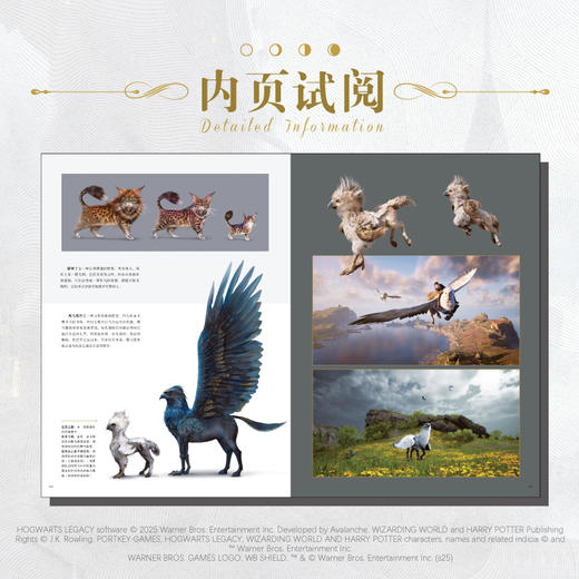 霍格沃茨之遗官方设定集 : 美术设定与制作幕后（随书赠品：魔法史教室彩窗PVC书签×3）人物、场景与魔法系统全解读，揭秘游戏背后的创作故事。哈利波特魔法世界 商品图4