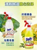 【中欧班列精选】意大利进口Dasty 多功能厨房油污净强力清洁剂1000ml 商品缩略图2