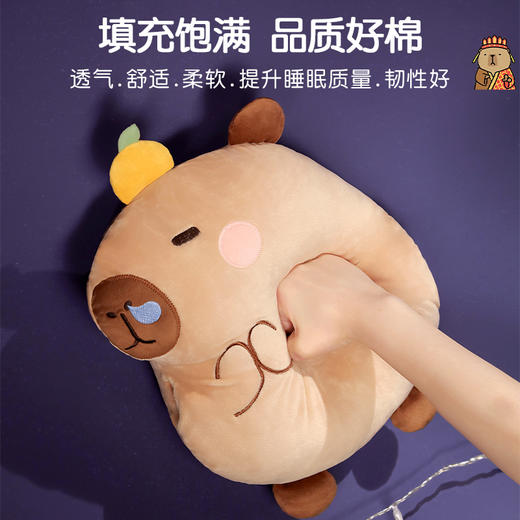 自然醒水晶绒佛系水豚三合一抱枕毯两用可插手午睡枕办公室午休趴枕QYL 商品图2