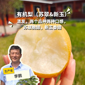 有机梨（中通，苏翠&新玉） | 合作生产 *Organic pear | Partner Production