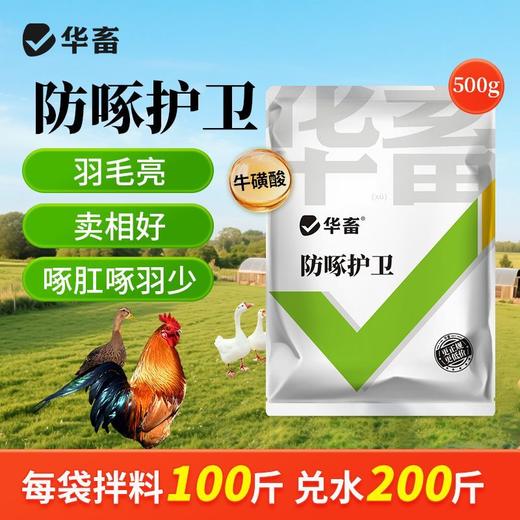 华畜禽用防啄卫士鸡鸭鹅鹦鹉鸽子打架止啄止咬防异食癖补微量元素 商品图2