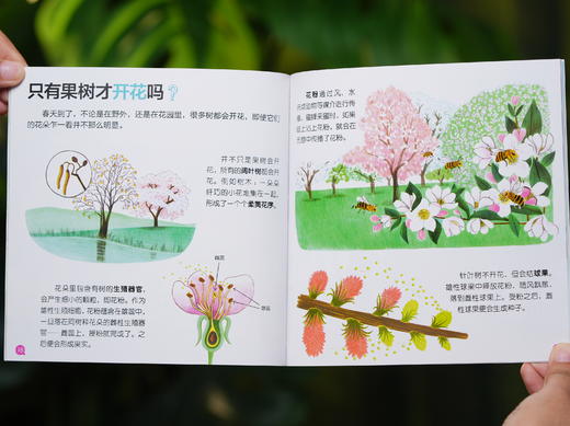 《我的小问题》礼盒装（全50册）|6-10岁科学启蒙、科普阅读培养“金招牌”，50大主题、天文地理、历史人文、日常生活全覆盖，横跨多科学，打开眼界，激发探索欲 商品图10